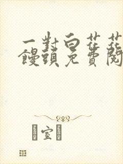 一对白花花的大馒头免费阅读