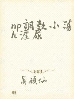np调教小荡货h灌尿