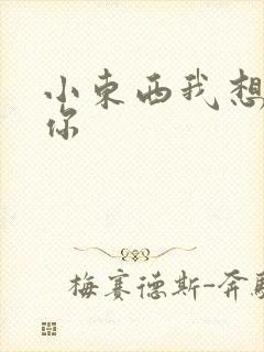 小东西我想弄坏你