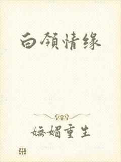 白领情缘