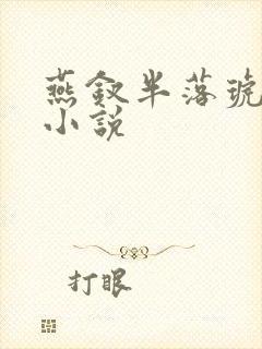 燕钗半落琥珀糖小说