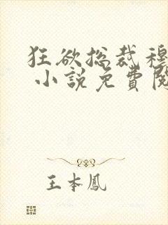 狂欲总裁穆非雪 小说免费阅读