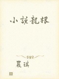 小说龙根