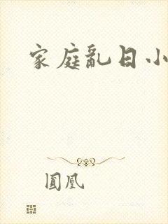 家庭乱日小说