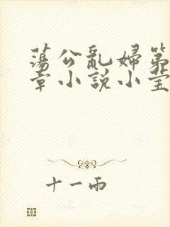 荡公乱妇第51章小说小莹