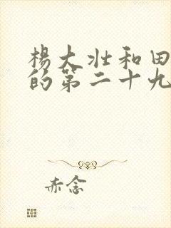 杨大壮和田桂花的第二十九