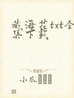 藏海花txt全集下载