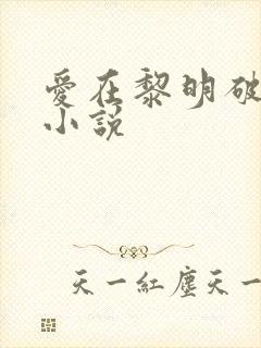 爱在黎明破晓前小说