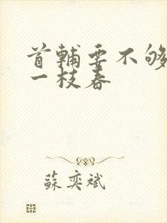 首辅要不够po一枝春