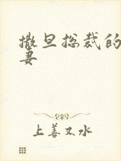 撒旦总裁的下堂妻