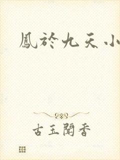 凤于九天小说