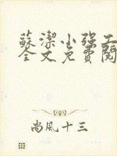 苏洁小强工地情全文免费阅读