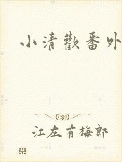小清欢番外