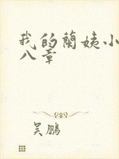 我的兰姨小说第八章