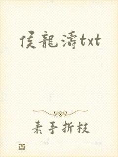 侯龙涛txt