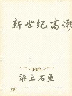 新世纪高潮战队