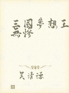 三国梦想王元姬无惨