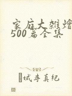 家庭大杂烩小说500篇全集