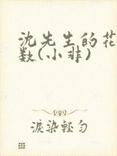 沈先生的花式调数(小非)