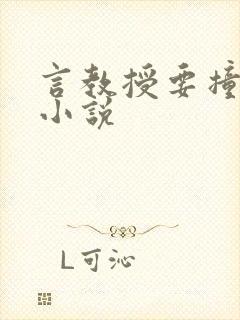 言教授要撞坏了小说
