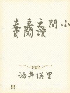 夫妻之间小说免费阅读