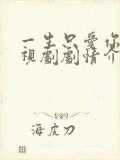 一生只爱你 电视剧剧情介绍