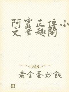 阿宾正传小说全文笔趣阁