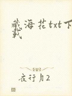 藏海花txt下载