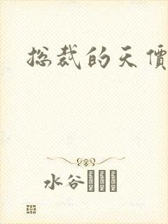 总裁的天价宠妻