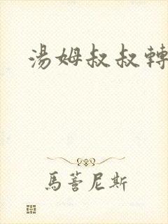 汤姆叔叔转接口