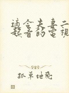 适合夫妻二人一起看的电视剧