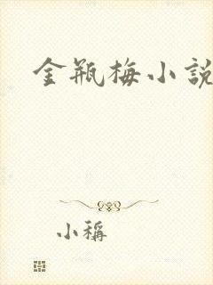 金瓶梅小说下载
