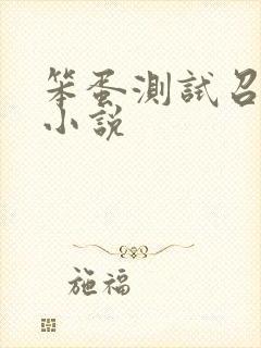 笨蛋测试召唤兽小说