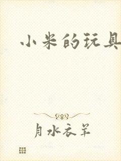 小米的玩具日记