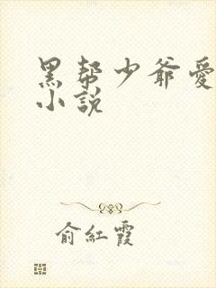 黑帮少爷爱上我小说