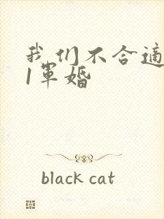 我们不合适1v1军婚