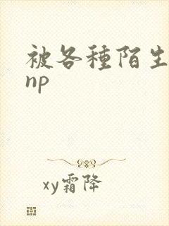 被各种陌生人 np