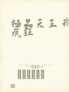 极品天王 我本疯狂