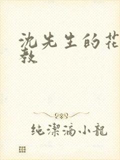 沈先生的花式管教