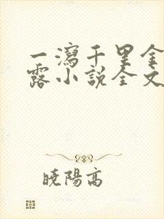 一泻千里金银花露小说全文免费阅读