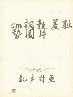 sm调教羞耻姿势图片