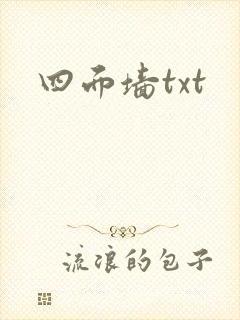 四面墙txt