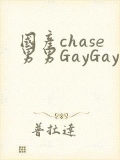 国产chase男男GayGay