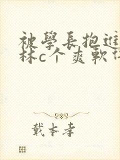 被学长抱进小树林c个爽软件