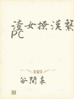 渣女撩汉系统NPC