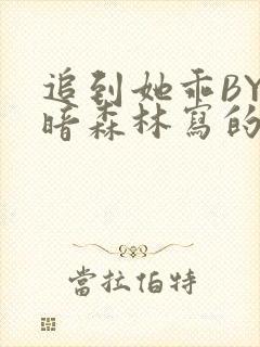 追到她乖BY黑暗森林写的小说