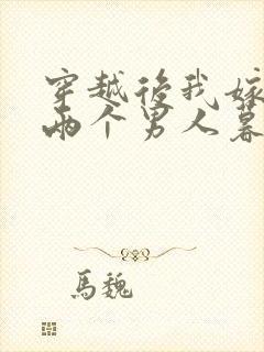 穿越后我嫁给了两个男人暮色酒歌