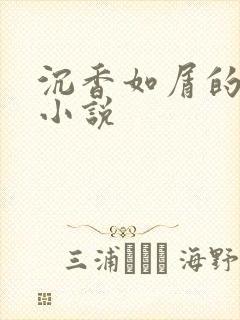 沉香如屑的原著小说