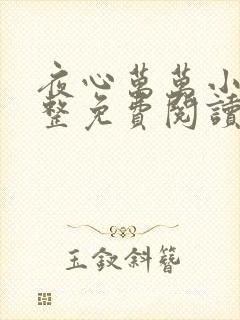 夜心万万小说完整免费阅读全文