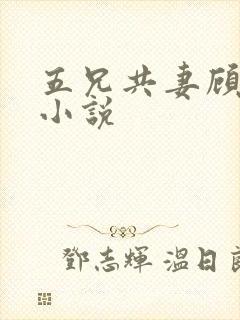 五兄共妻顾心儿小说